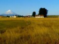 /album/fotogaleria-de-frutillar/images-6-jpg/